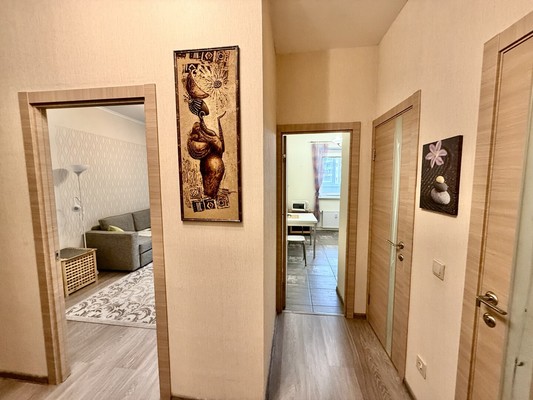 Продам однокомнатную (1-комн.) квартиру, Флотская ул, 9, Новое Девяткино д