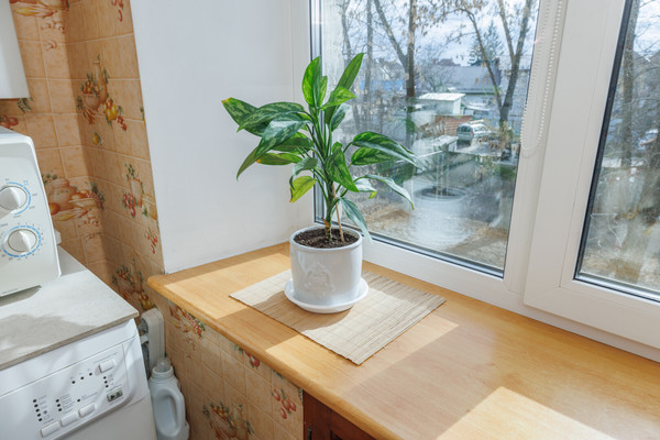 Продам двухкомнатную (2-комн.) квартиру, Красноармейская ул, 99, Брянск г