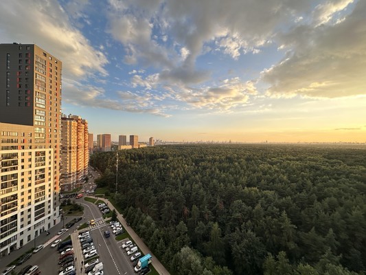 Продам трехкомнатную (3-комн.) квартиру, Сосновая ул, 1к3, Котельники г