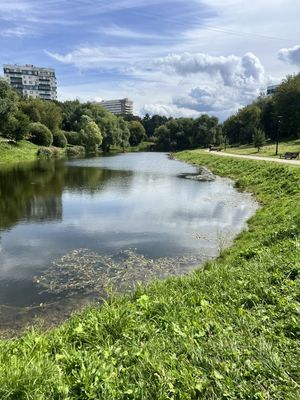 Продам трехкомнатную (3-комн.) квартиру, Бехтерева ул, 31к3, Москва г