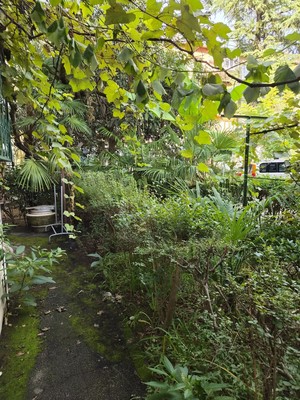 Продам трехкомнатную (3-комн.) квартиру, Гагарина (Центральный р-н) ул, 10, Сочи г