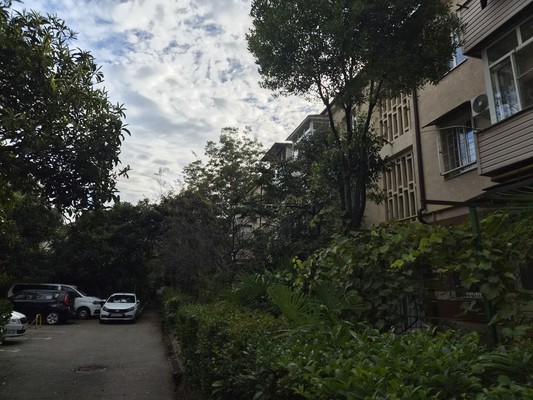 Продам трехкомнатную (3-комн.) квартиру, Гагарина (Центральный р-н) ул, 10, Сочи г