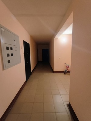 Продам однокомнатную (1-комн.) квартиру, Молодежная ул, 1в, Семеновка с