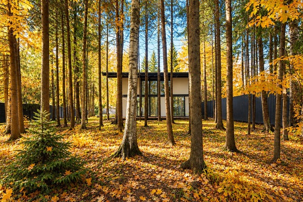 Продам дом, КИЗ Зеленая роща-1 тер, 523, Сивково д, 0 км от города