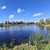 Продам участок 16 соток, Фермерское хоз., СНТ Машиностроитель-9 тер, Бортниково с, 0 км от города