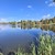 Продам участок 16 соток, Фермерское хоз., СНТ Машиностроитель-9 тер, Бортниково с, 0 км от города