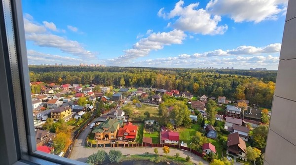 Продам однокомнатную (1-комн.) квартиру, Демин луг ул, 2, Балашиха г