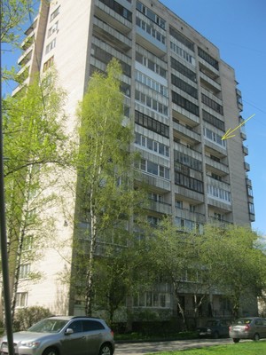 Продам однокомнатную (1-комн.) квартиру, Лёни Голикова ул, 31к3, Санкт-Петербург г