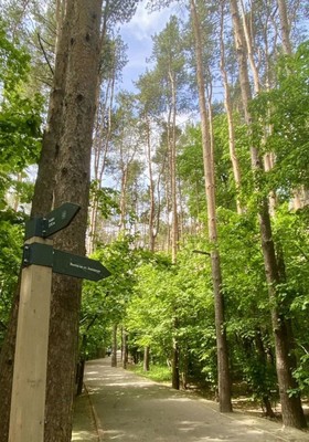 Продам однокомнатную (1-комн.) квартиру, Ольховая ул, 9, Видное г