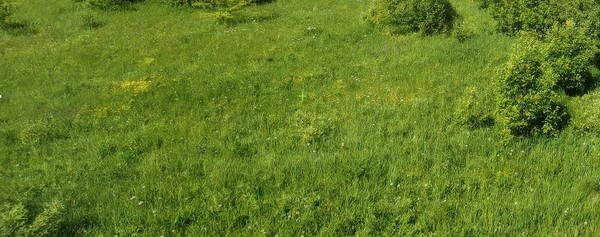 Продам участок 6 соток, Садоводство, Новая ул, Елево д, 0 км от города