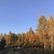 Продам дом, Арбат ул, Москва г, 0 км от города