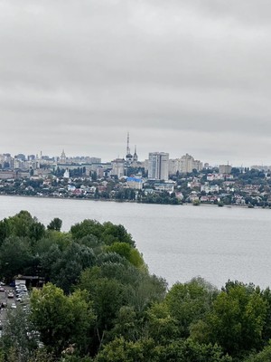 Продам двухкомнатную (2-комн.) квартиру, Переверткина ул, 1/2, Воронеж г