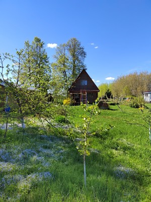 Продам дом, Дмитровка д, 0 км от города