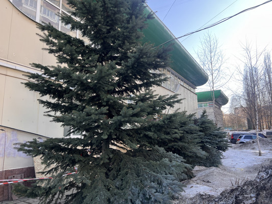 Продам гостиницу 218 м2, Знаменские Садки ул, 5, Москва г