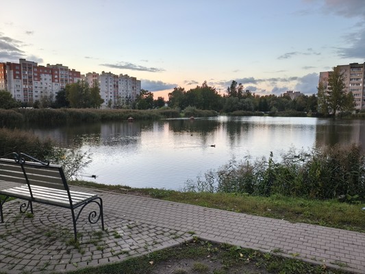 Продам однокомнатную (1-комн.) квартиру, Большая Санкт-Петербургская ул, 106к5, Великий Новгород г