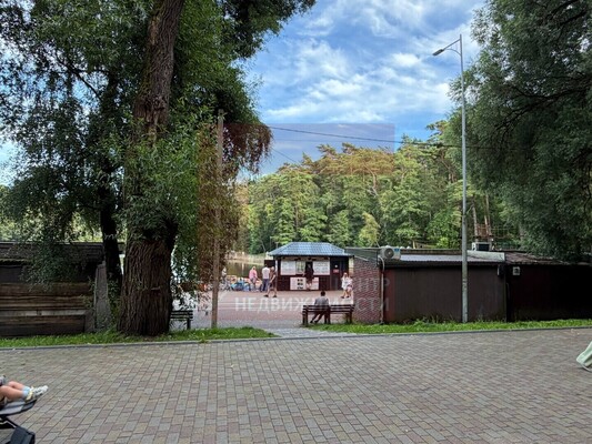 Продам коммерческое помещение 40,8 м2, Майский проезд, 3, Светлогорск г