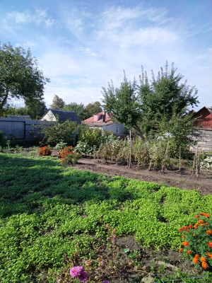 Продам дом, Комарова ул, 76, Стародуб г, 0 км от города
