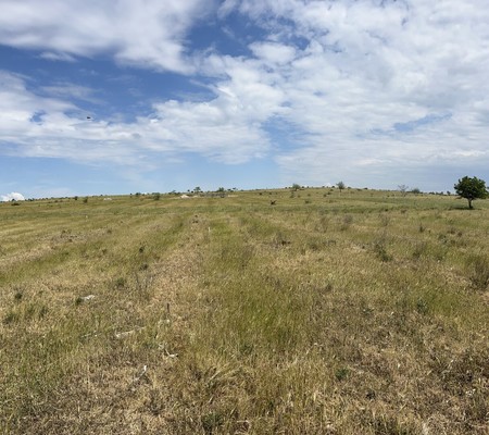 Продам участок 6 соток, ИЖС, Мира ул, Мирное с, 0 км от города