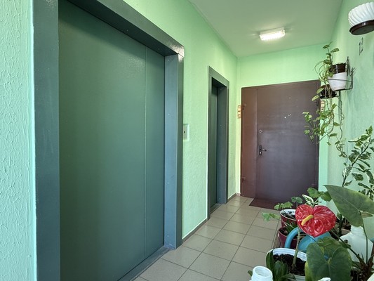 Продам трехкомнатную (3-комн.) квартиру, Ивовая ул, 6к2, Москва г