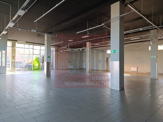 Сдам коммерческое помещение 370 м2, 2-й Газетный пер, Большое Исаково п