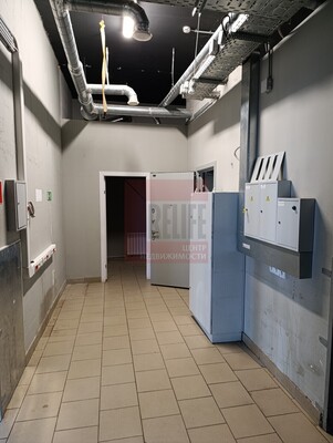 Сдам коммерческое помещение 370 м2, 2-й Газетный пер, Большое Исаково п