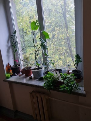 Продам трехкомнатную (3-комн.) квартиру, 2-й Новоподмосковный пер, 10к2, Москва г