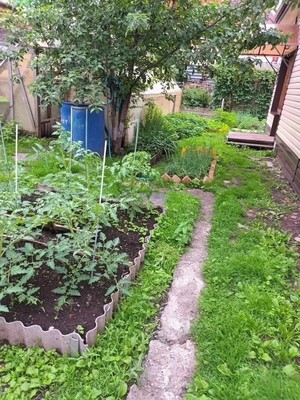 Продам дом, Электрическая ул, Ишим г, 0 км от города