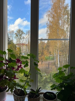 Продам двухкомнатную (2-комн.) квартиру, Ларина ул, 4, Сертолово г