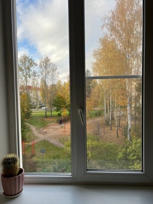 Продам двухкомнатную (2-комн.) квартиру, Ларина ул, 4, Сертолово г