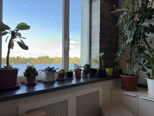 Продам трехкомнатную (3-комн.) квартиру, Рыбацкий пр-кт, 18к2, Санкт-Петербург г