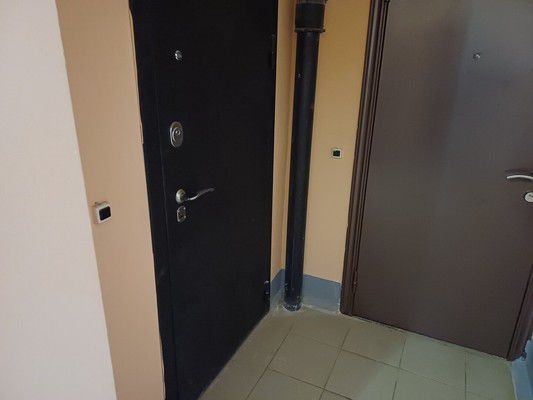 Продам однокомнатную (1-комн.) квартиру, Центральная ул, 26, Григорово д