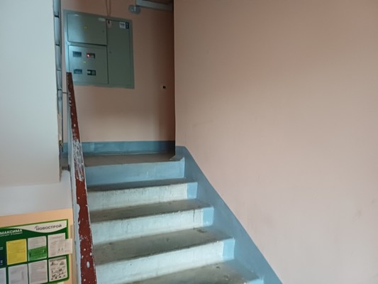 Продам однокомнатную (1-комн.) квартиру, Центральная ул, 26, Григорово д
