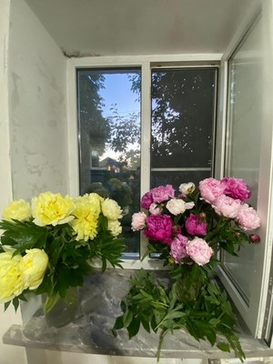 Продам дом, Никоновское с, 0 км от города