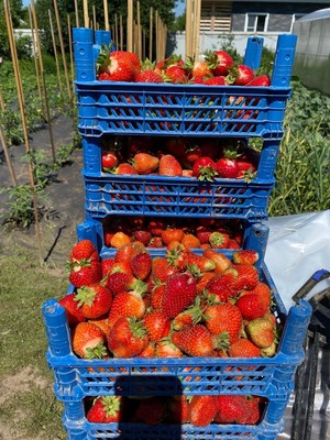 Продам дом, Никоновское с, 0 км от города