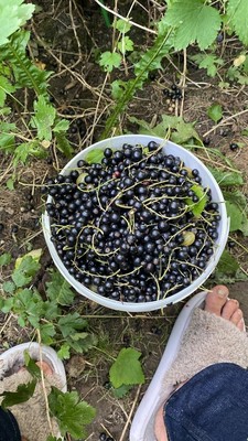 Продам дом, Никоновское с, 0 км от города