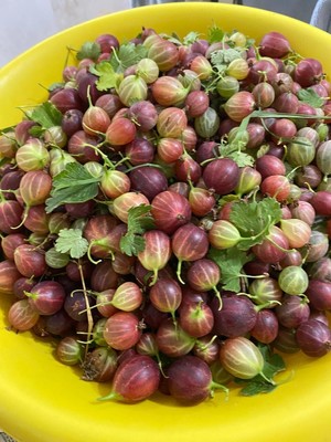 Продам дом, Никоновское с, 0 км от города