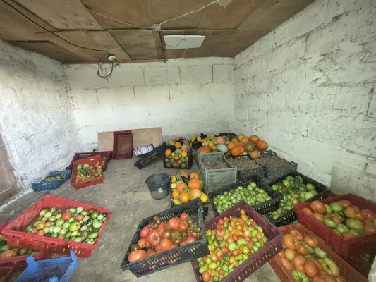 Продам дом, Никоновское с, 0 км от города