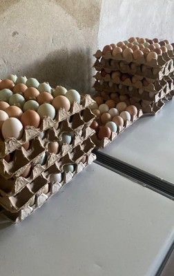 Продам дом, Никоновское с, 0 км от города