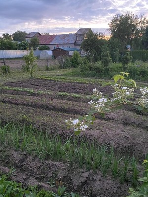 Продам дом, Никоновское с, 0 км от города