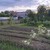 Продам дом, Никоновское с, 0 км от города
