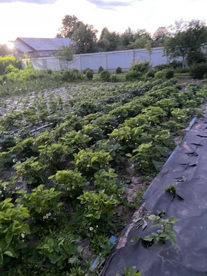 Продам дом, Никоновское с, 0 км от города