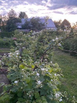 Продам дом, Никоновское с, 0 км от города