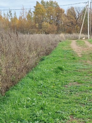 Продам участок 18,6 соток, ИЖС, Дубравная ул, Шолохово д, 0 км от города