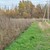 Продам участок 18,6 соток, ИЖС, Дубравная ул, Шолохово д, 0 км от города