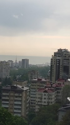 Продам двухкомнатную (2-комн.) квартиру, Цюрупы (Центральный р-н) ул, 35кБ, Сочи г