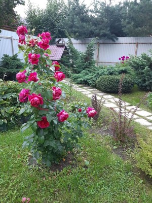 Продам дом, Круговая (ДНП Русская сказка тер.) ул, 144, Кузнецово д, 0 км от города