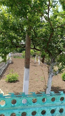 Продам дом, Тракторная ул, 29, Дубровка с, 0 км от города