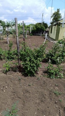Продам дом, Тракторная ул, 29, Дубровка с, 0 км от города
