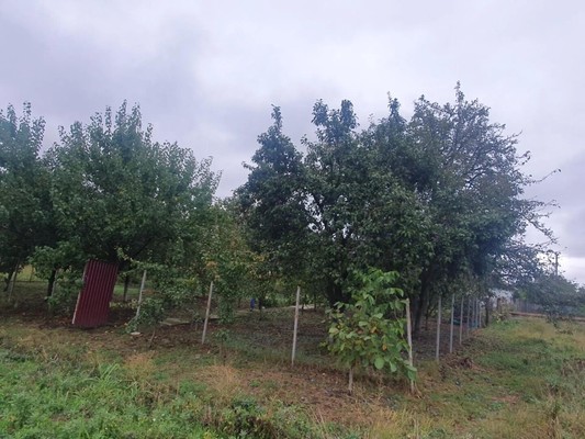 Продам дом, Почтовая ул, 18, Темижбекская ст-ца, 0 км от города