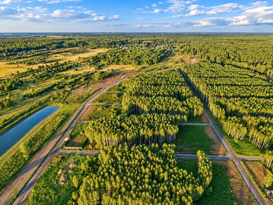 Продам участок 6 соток, ИЖС, Торбеево д, 0 км от города